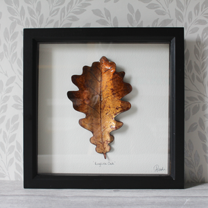 English Oak - Large Frame