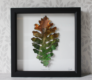 Hungarian Oak - Large Frame