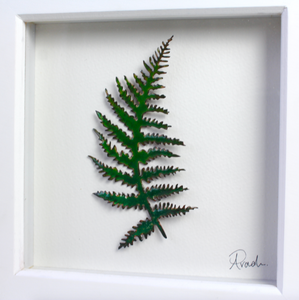 Fern - Two Tone - Medium Frame