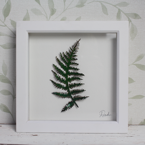 Fern - Two Tone - Medium Frame