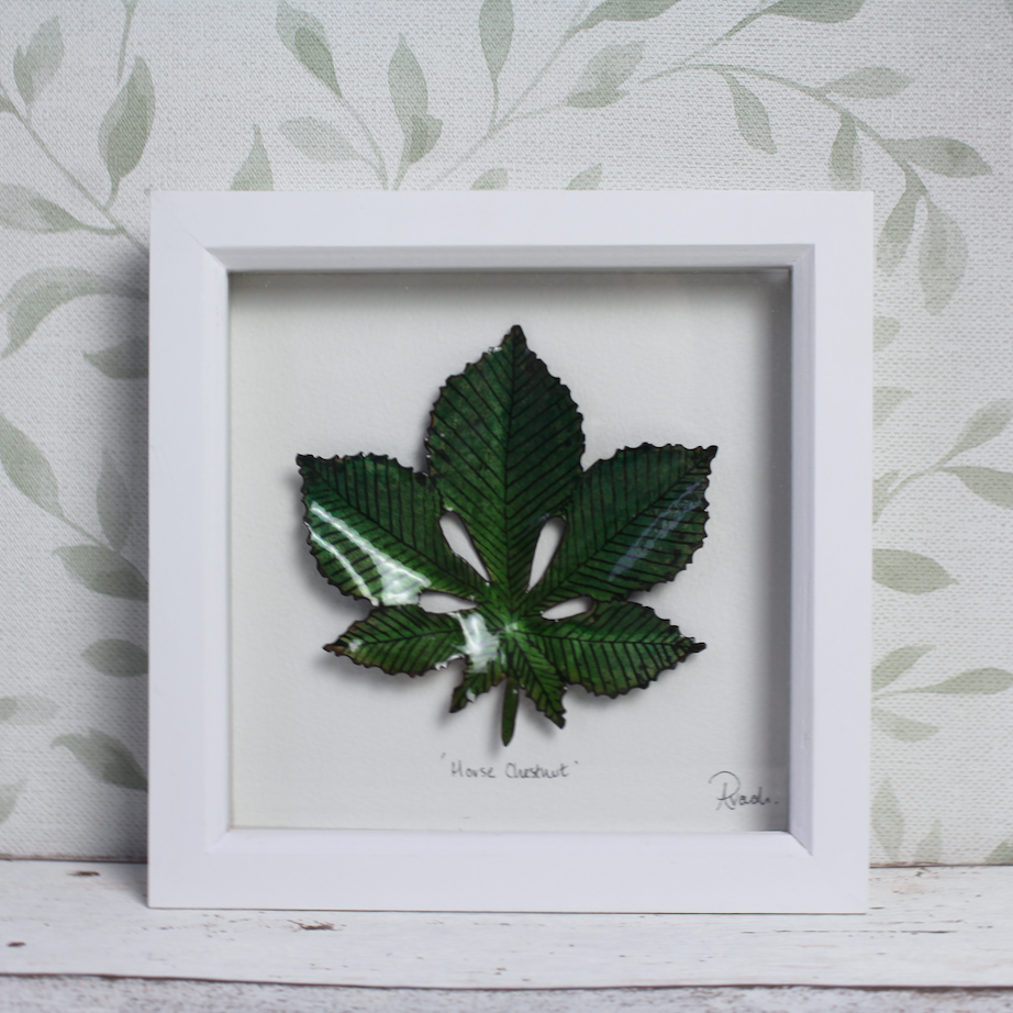 Horse Chestnut - Medium Frame