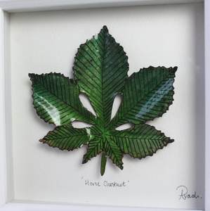 Horse Chestnut - Medium Frame