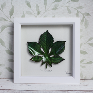 Horse Chestnut - Medium Frame