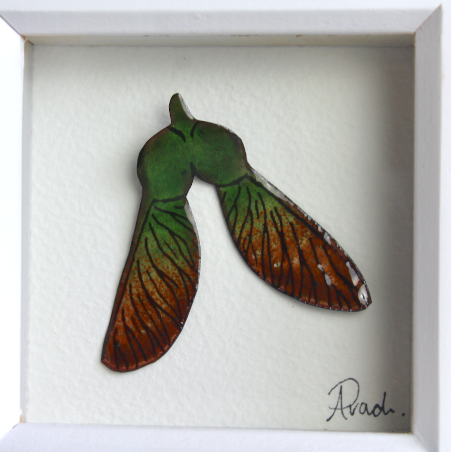 Sycamore Seed - Mini Frame